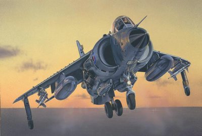 Sea Harrier FRS.1 - 1:72 ITL1236 фото