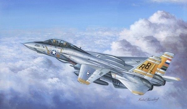 F-14A - 1:48 HB80366 фото