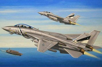 Збірна модель Hobby Boss f-14D 'Super Tomcat' - 1:72 масштабна з пластику, гелікоптери та вертольоти HB80278 фото